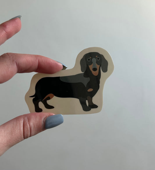 Derrick the Dachshund